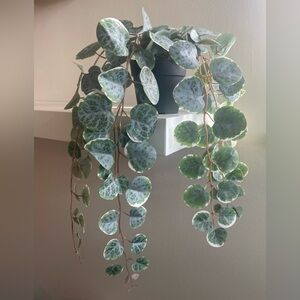 IKEA Faux Trailing Plant